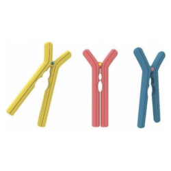 schiaccianoci pedrini 04gd297-6 rompy in resina termoplastica