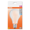 lampadina led osram star smerigliata