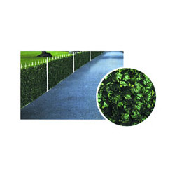 Siepe ornamentale edera h.100 m.20 ilcampo 06231 [il campo ]