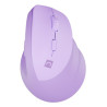 mouse natec crake 2 senza fil ottico 2400dpi 6 tasti lavanda [umnatrbd0000042]