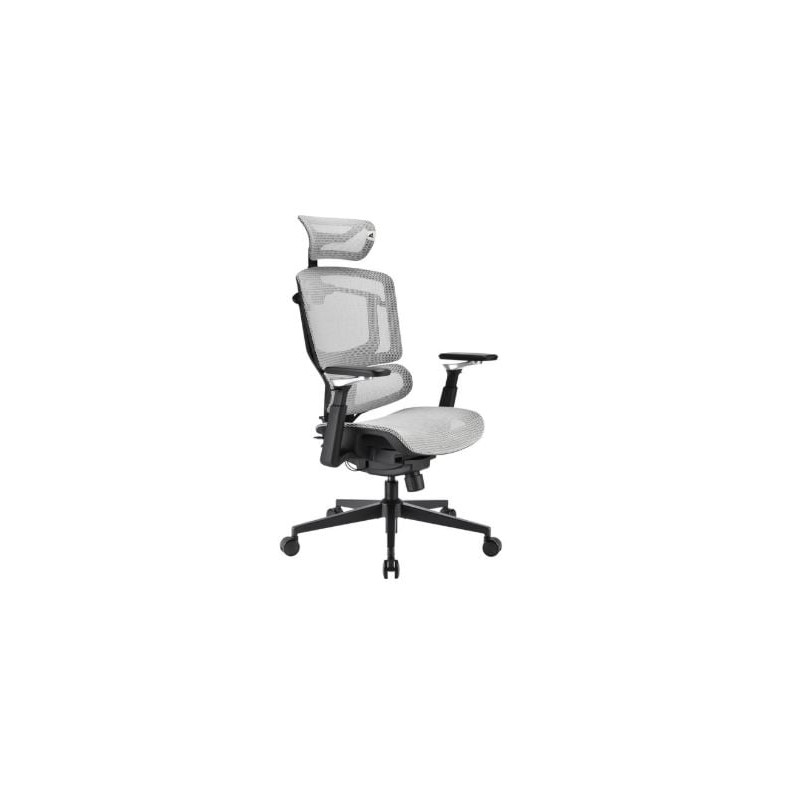 sedia da ufficio sharkoon officepal c50m grigio [4044951045051]