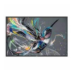 monitor led 75" philips 75bdl3511q 4k ultra hd 3830x2160p 8ms