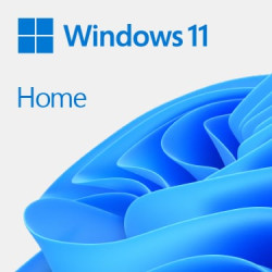 licenza microsoft windows 11 home 1