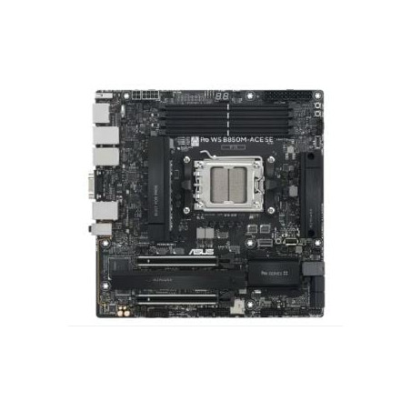 scheda madre asus pro ws b850m-ace se am5 atx 4xddr5 nero [90mb1mn0-m0eay0]