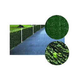 Siepe lauro ombreggiante h.150 m.3 ilcampo 06659 [il campo ]