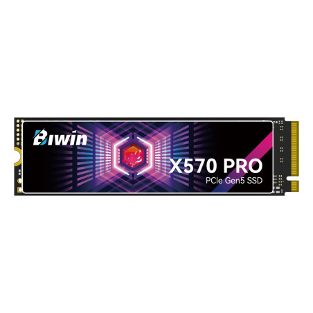 ssd 2tb biwin x570pro m.2 pcie nero [bx570dn02tb-rgx]