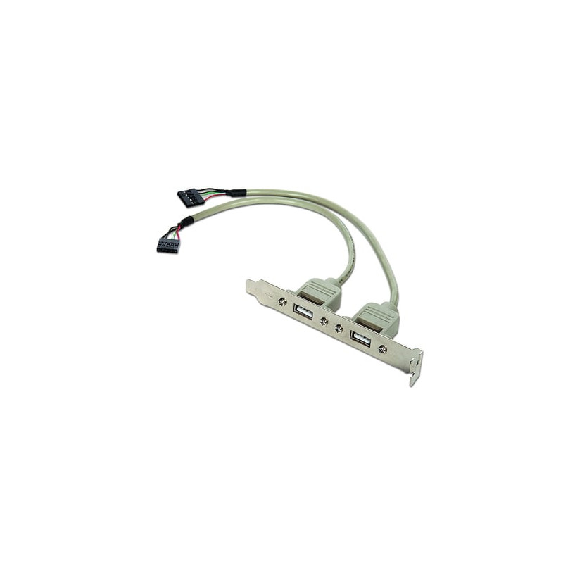 adattatore usb gembird ccusbreceptacle 10-pin 2x usb 2.0 grigio