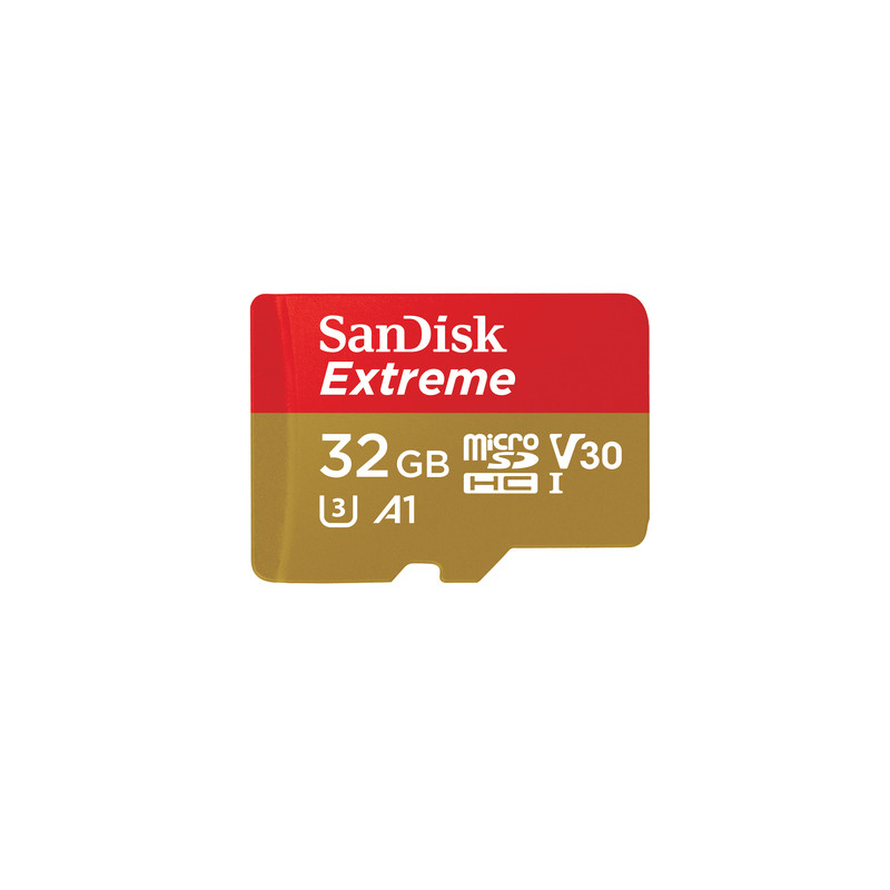 32gb scheda micro sdhc sandisk extreme [sfsanmdg32xm100]