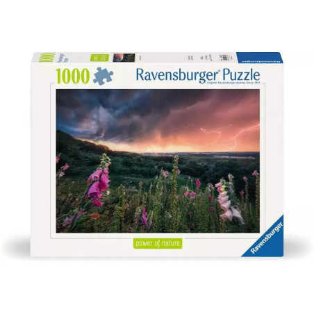 puzzle ravensburger sthorm 1000pezzi [wzrvpt0uf007937]