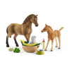 figurina schleich horse club la cura degli animali di sarah multicolore