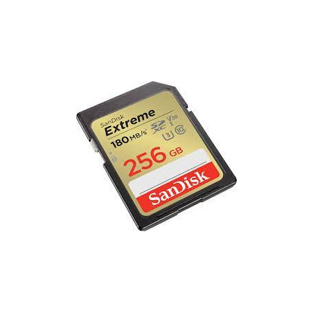 256gb scheda microsdxc sandisk uhs-i class 10 extreme [sdsdxvv-256g-gncin]