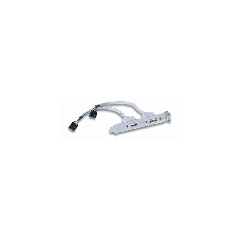 Cavetto slot usb 2.0