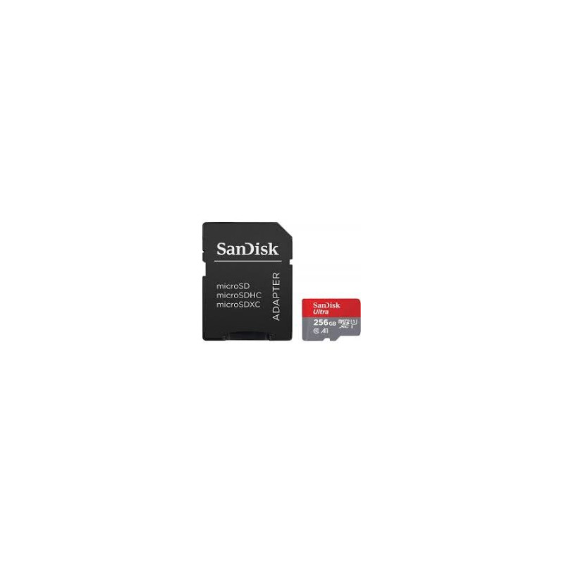 256gb scheda sdxc sandisk ultra lite 100mb/s [sdsdunr-256g-gn3in]