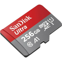 256gb scheda microsdxc sandisk ultra lite [sdsqunr-256g-gn6ta]