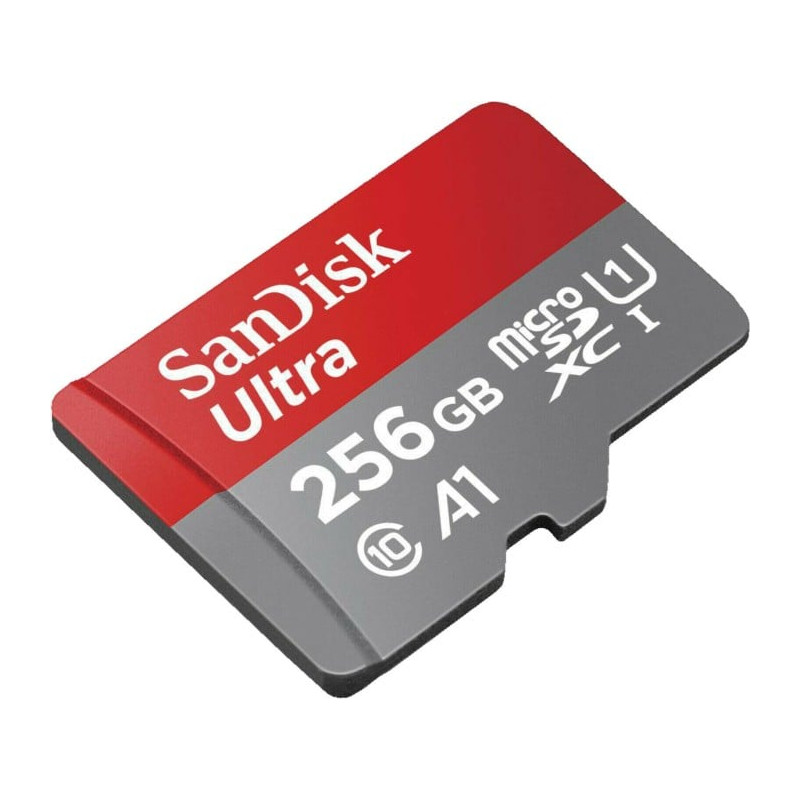 256gb scheda microsdxc sandisk ultra lite [sdsqunr-256g-gn6ta]