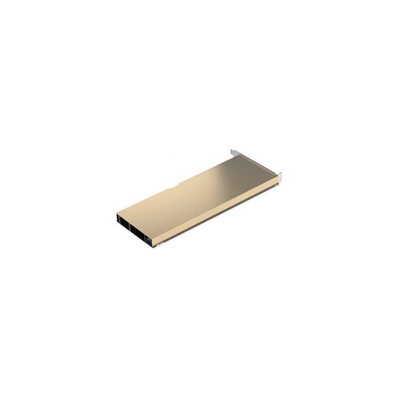 scheda video nvidia 24gb a10 gddr6 passiva [900-2g133-0020-000]
