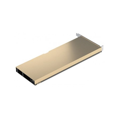 scheda video nvidia 24gb a10 gddr6 passiva [900-2g133-0020-000]