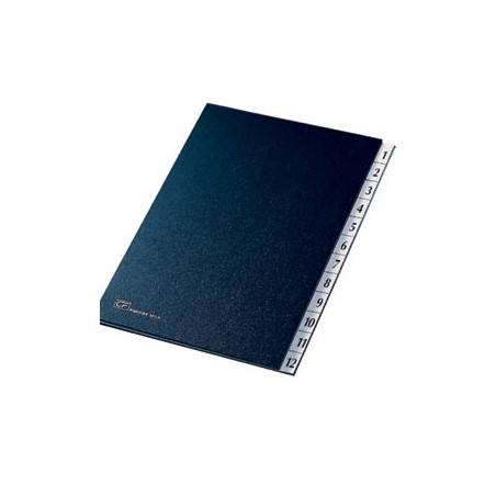 classificatore monitore fraschini 1/12 formato 24x34cm blu art 627-n