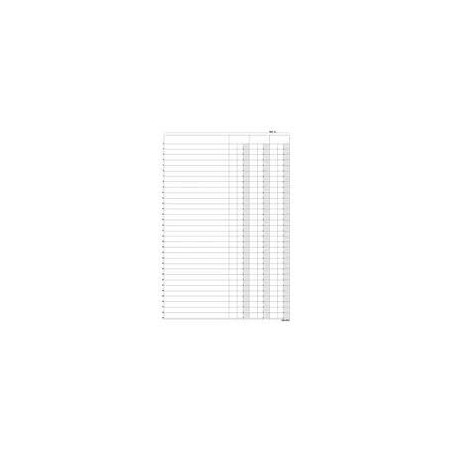 100 schede verticale 21x15cm dare/avere/saldo e3336bl [e3336bl]