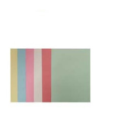 cartellina in cartone semplice brefiocart 25 pz. atti 25 con spillo