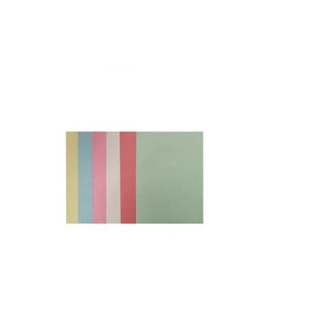 cartellina in cartone semplice brefiocart 25 pz. atti 25 con spillo