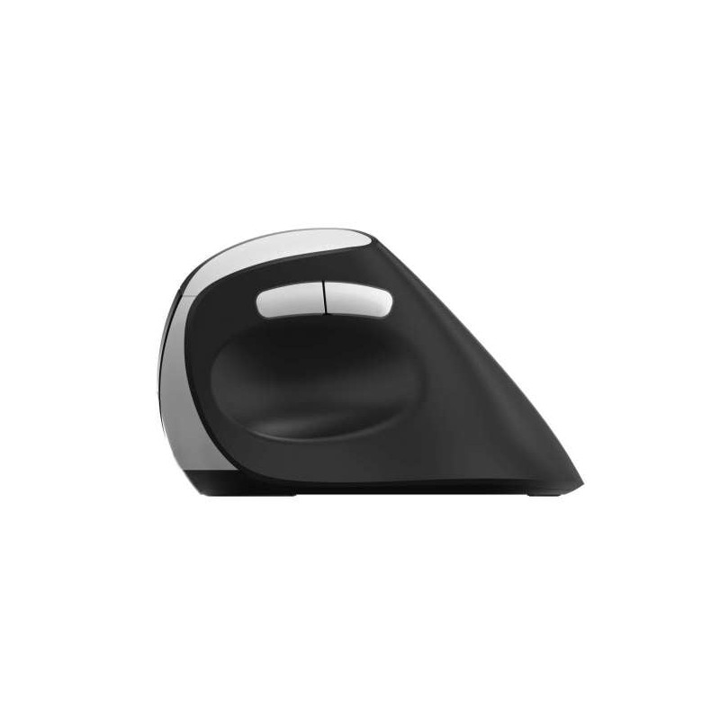 mouse rapoo ev250 ottico rf-wireless 1600dpi 3tasti nero/argento