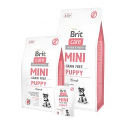 cibo secco brit care mini grain-free hypoallergenic agnello per