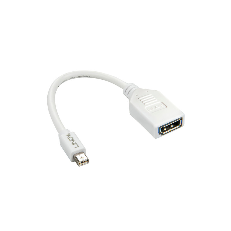 adattatore lindy mini dispalyport a displayport m/f 15cm extern bulk