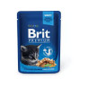 cibo umido per gatti brit premium cat kitten pollo 100g