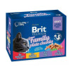 cibo umido per gatto brit pouches family plate 12x100g