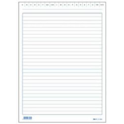100 schede rigate 17x24cm orizzontale e3363bl edipro [e3363bl]