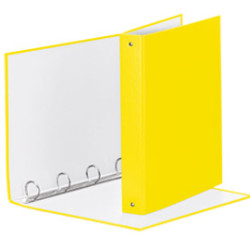 raccoglitore meeting 30 a4 4r in ppl giallo vivida esselte [395792930]