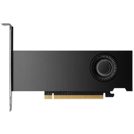 scheda video nvidia quadro rtx 2000 ada 16gb gddr6 ecc pci-e