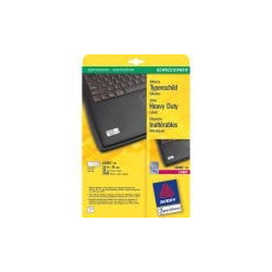 Etichette in poliestere avery l6008-20 fogli argento 24,5x10mm