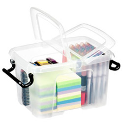 Box rotho multiuso con coperchio l28,5x p22,5x h17,5cm - 6lt