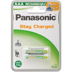 pila ricaricabile panasonic 2 pz. per dect use aaa micro 1.20v 750mah