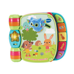 gioco interattivo v-tech baby le mie tenere canzoncine multicolore