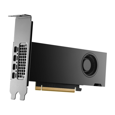 scheda video nvidia hp 8d6b8aa rtx 2000 ada 16gb 4mdp nero