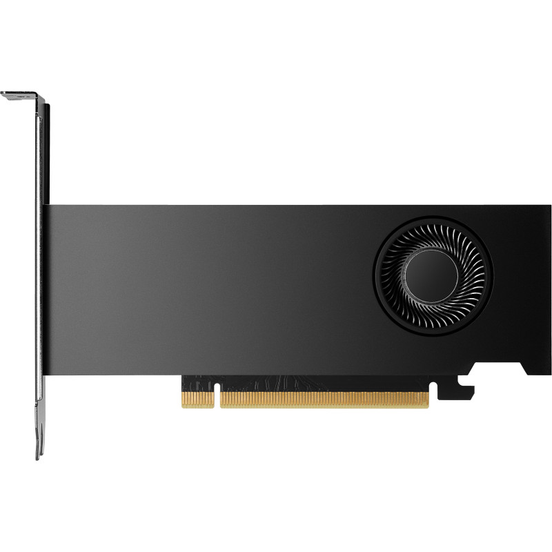scheda video nvidia hp rtx 2000 ada 16gb gddr6 128bit oro/nero [8d6b8aa]