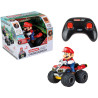 modellino figurina carrera rc car mario kart visibile sul veicolo