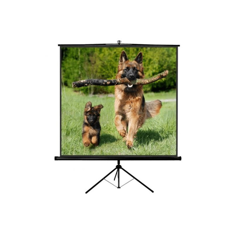 schermo per proiezione sopar tp new junior 200x200 [1220nj]