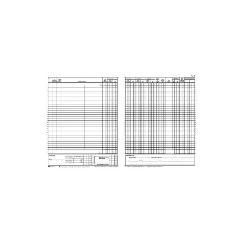 registro edipro iva fatture 31x24,5 22 pagine [e2133]