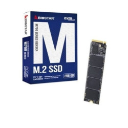 ssd 256gb biostar m760 m2/pcie [m760-256gb]