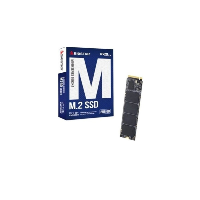 ssd 256gb biostar m760 m2/pcie [m760-256gb]