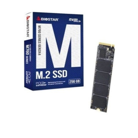 ssd 256gb biostar m760 m2/pcie [m760-256gb]
