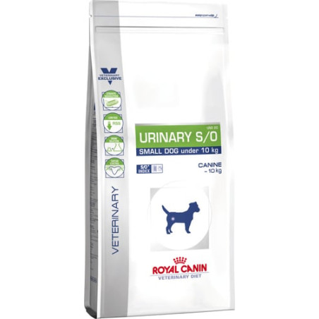 feed royal canin (1.50 kg )