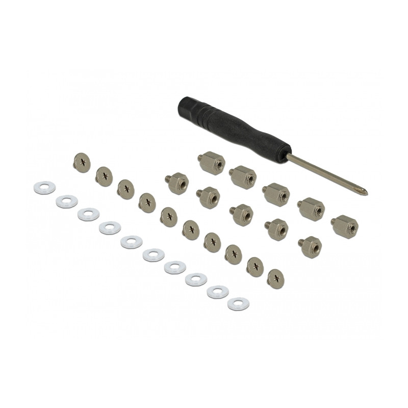 set di montaggio delock 31-pezzi m.2 ssd [18288]