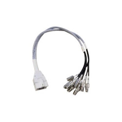 cavo antenna cisco per connettore rp-tnc 2ft da 8 porte 61cm