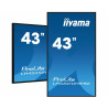 monitor digital signage led 42.5" iiyama prolite ultra hd 3840x2160/8ms/classe