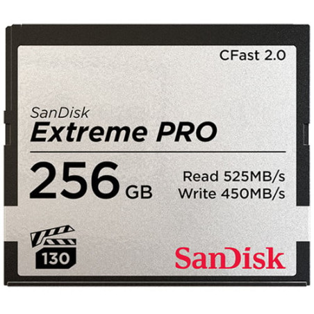 256gb scheda compact flash sandisk 2.0 vpg130 extreme pro sdcfsp-256g-g46d